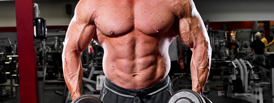 The Definitive Guide to Lean Bulking – MUTANT